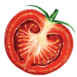 Tomato-1.png