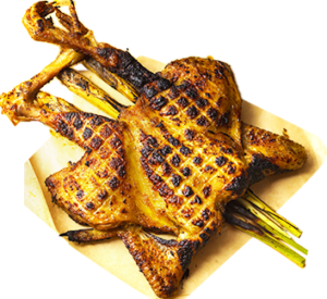 hayop_Inasal_web2.png